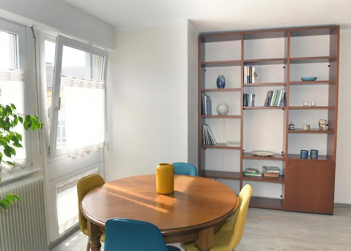 Appartement Les Artisans Au Centre Historique Colmar