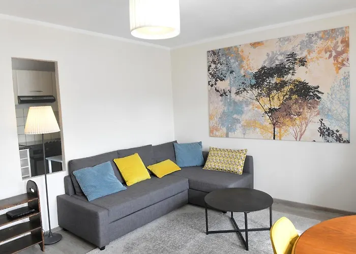 Les Artisans Au Centre Historique Appartement Colmar